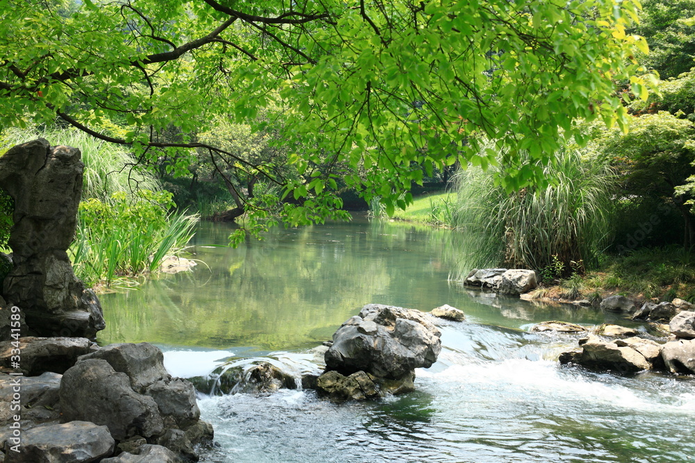 绿色风景