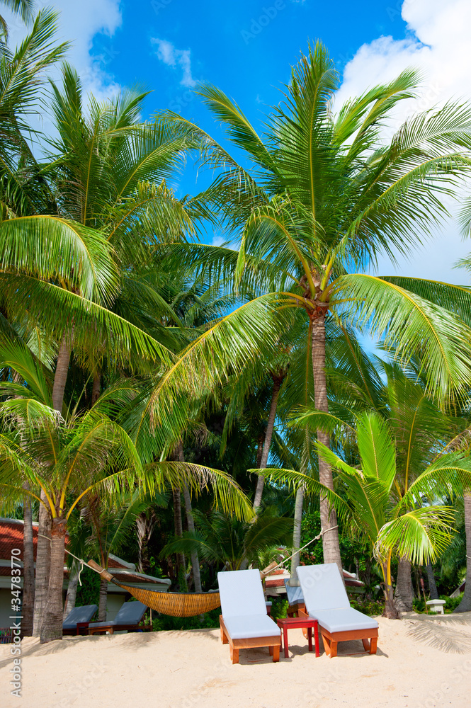 Beach chairs on tropical white sand beach