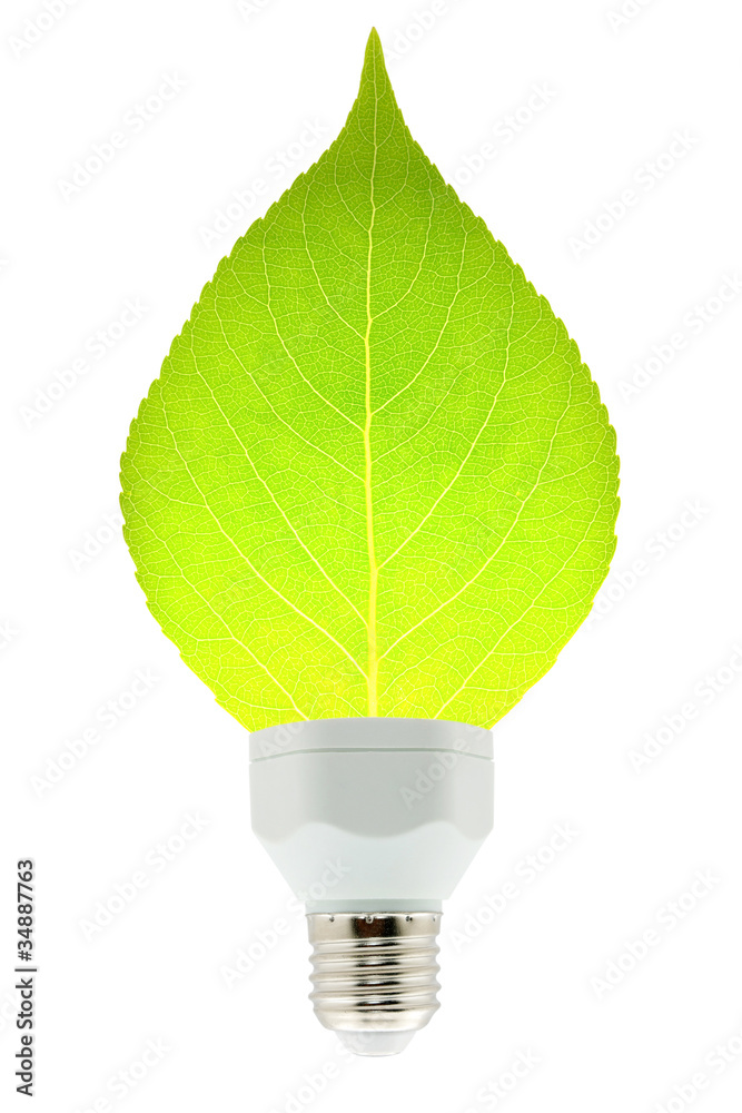 leaf and lamp