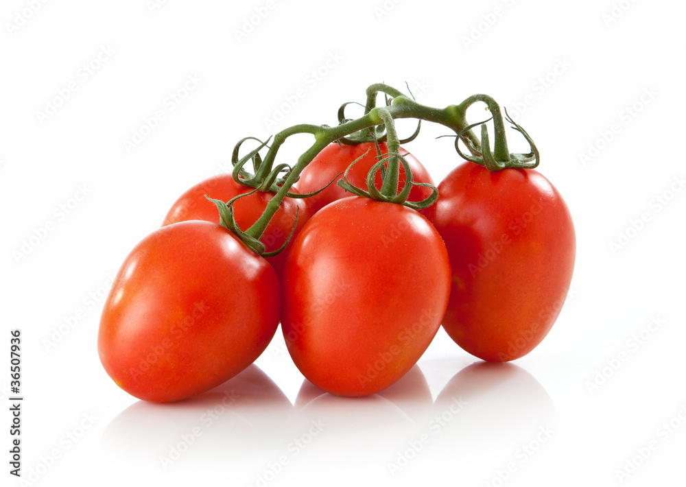 fresh tomato