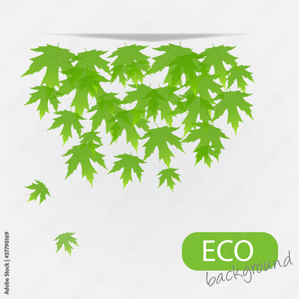 eco leves background. vector illustration