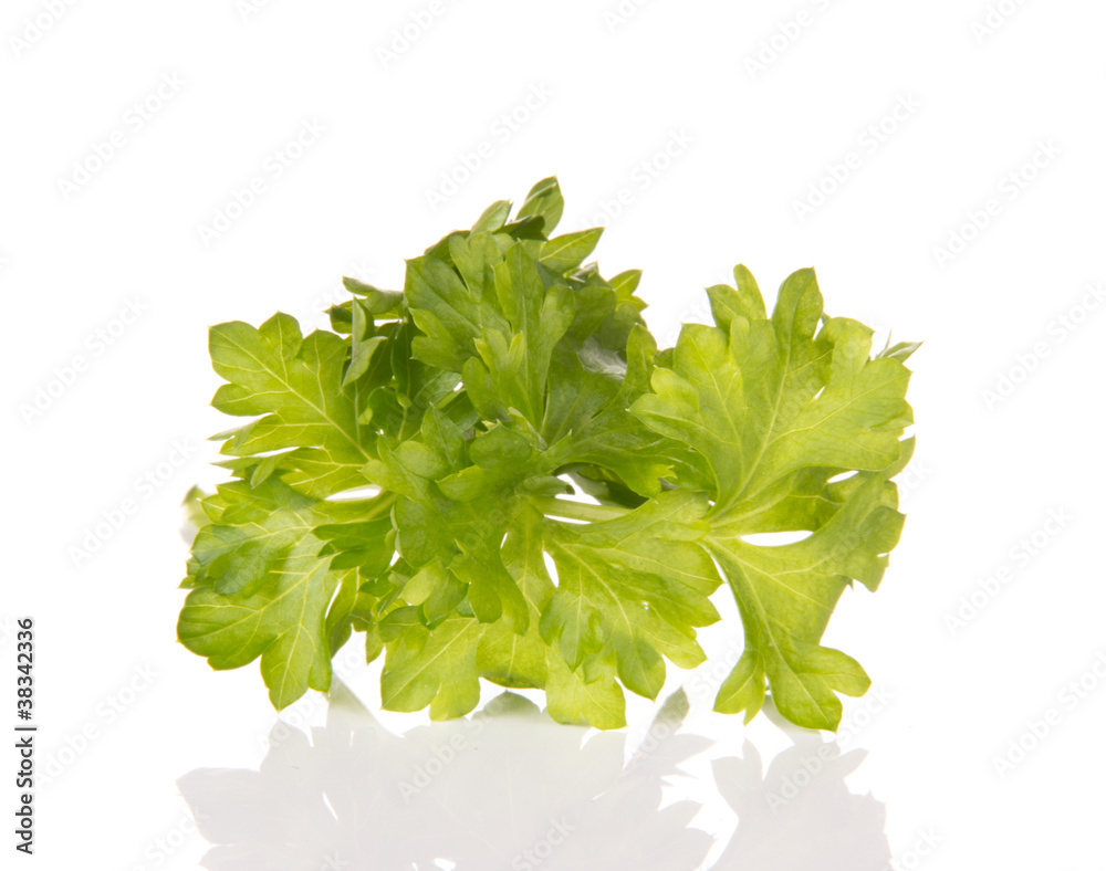 Parsley，隔离在白色背景上