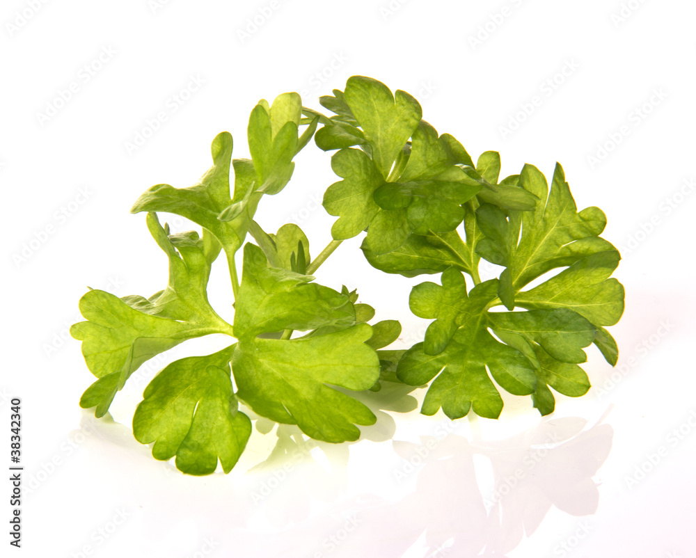 Parsley，隔离在白色背景上