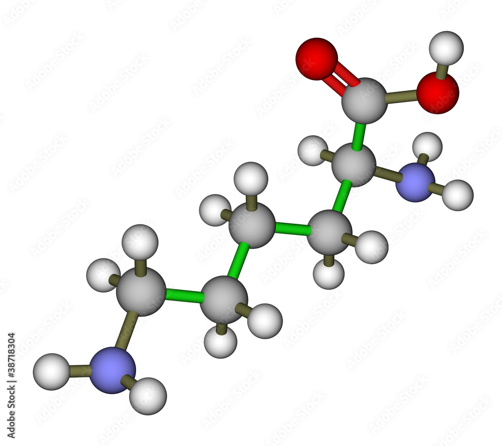 赖氨酸分子结构