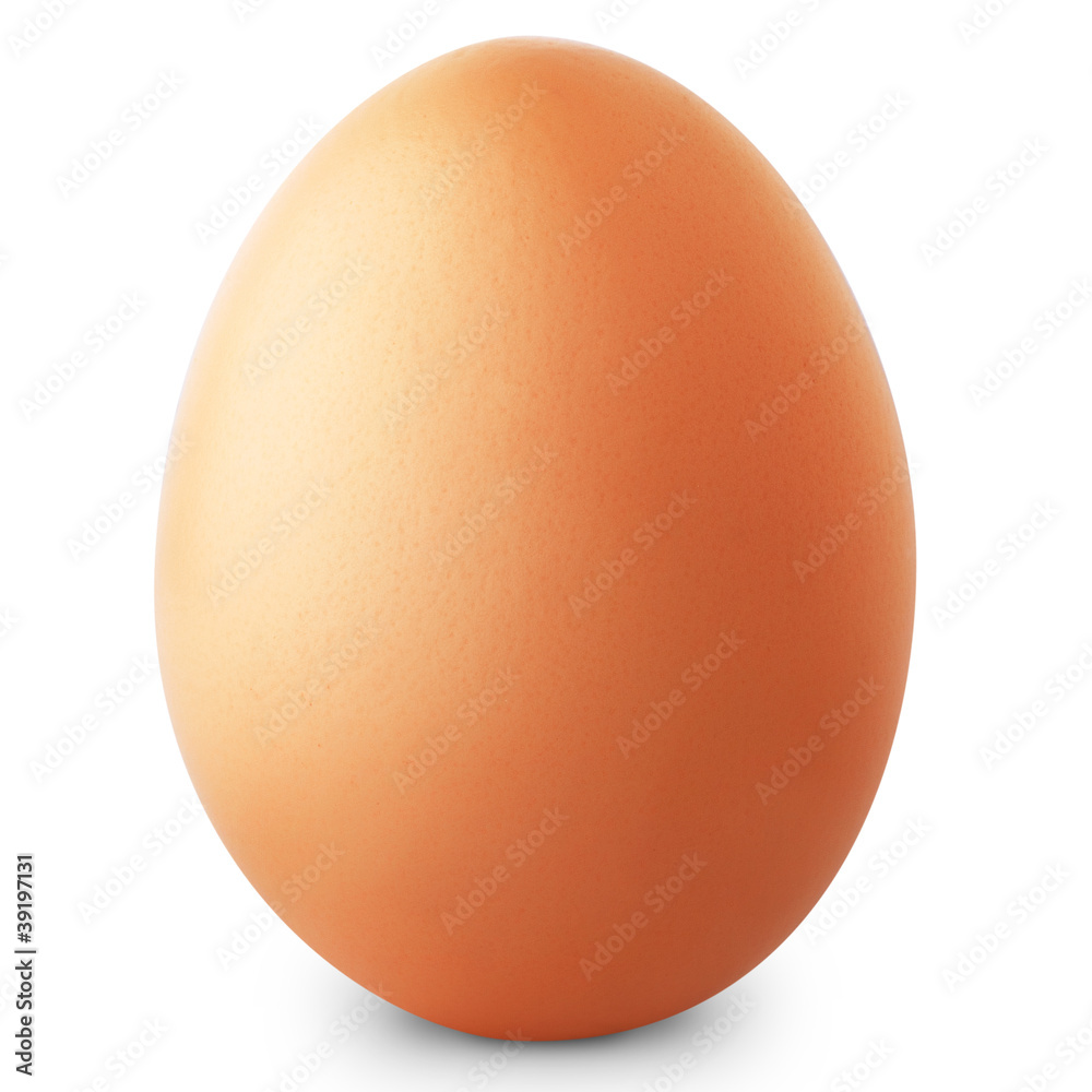 Brown egg isolated on white background + Clipping Path