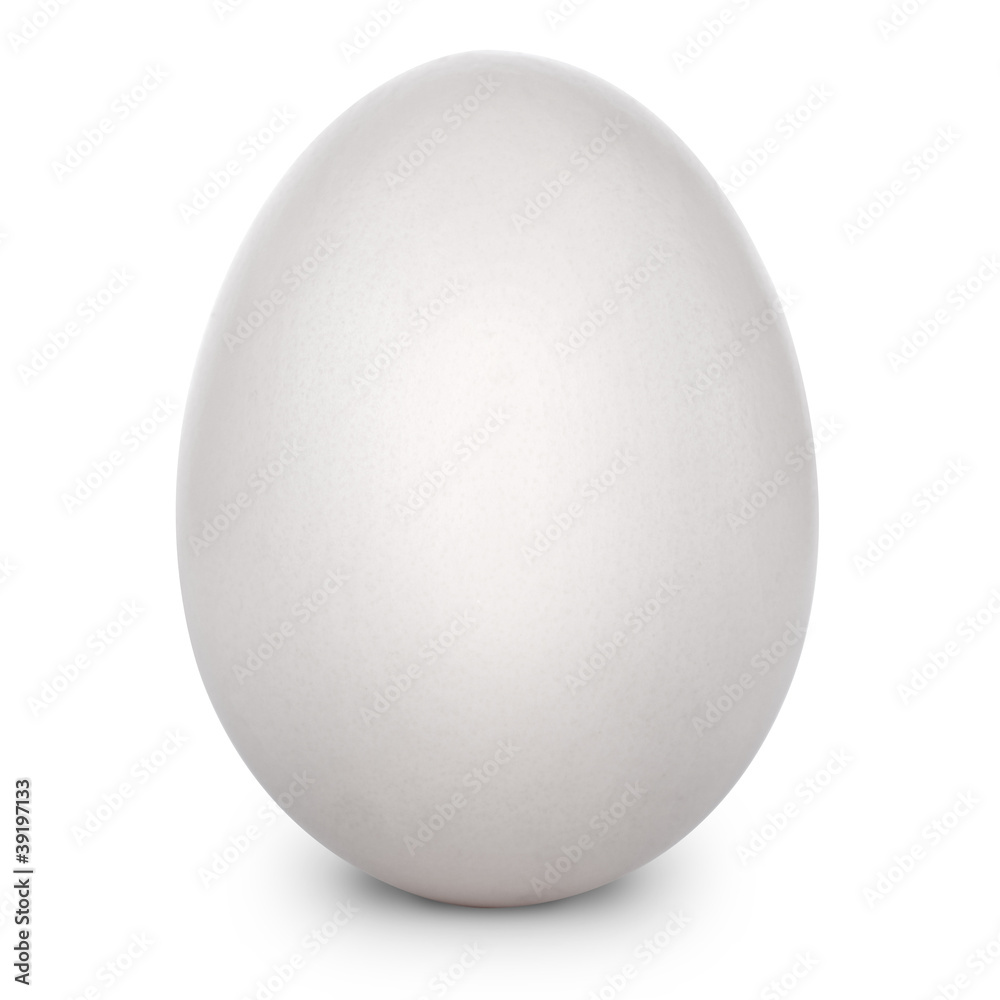 White egg isolated on white background + Clipping Path .