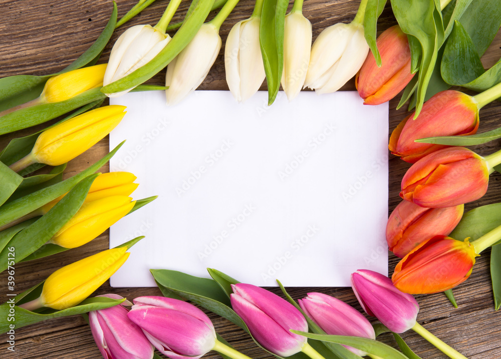 Spring greeting card