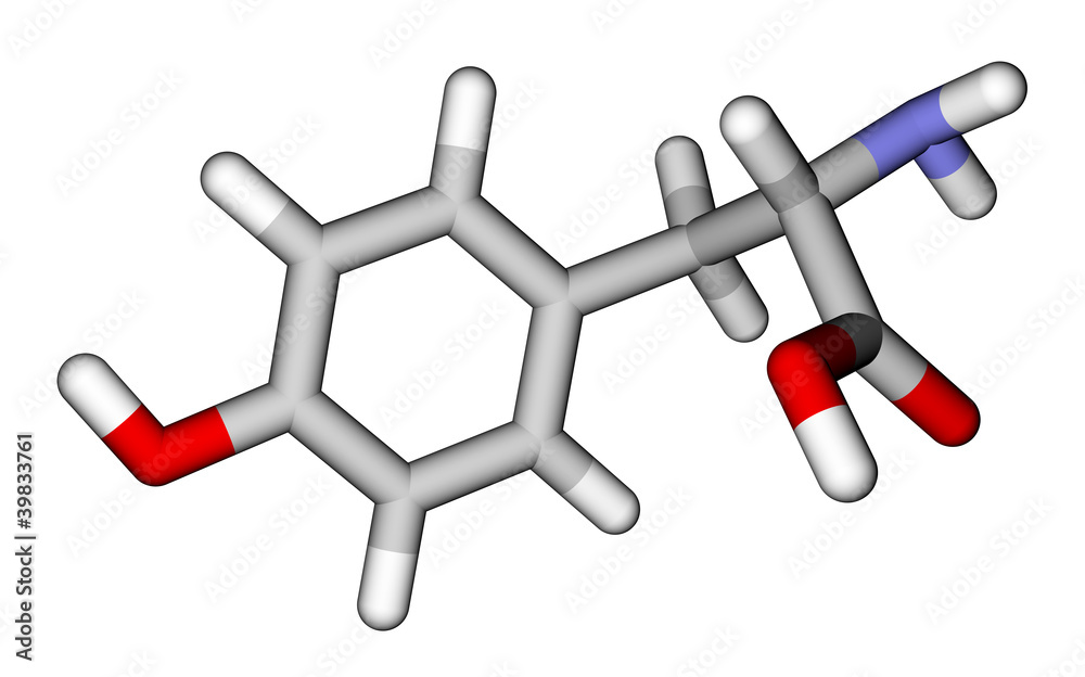 Amino acid tyrosine 3D molecular model