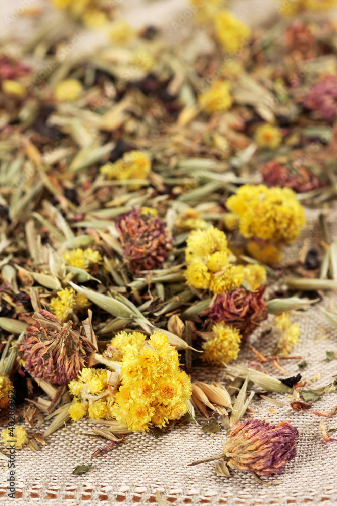 dried wildflowers tea