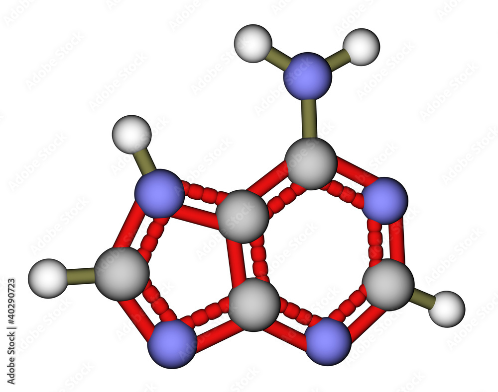 碱基腺嘌呤分子结构