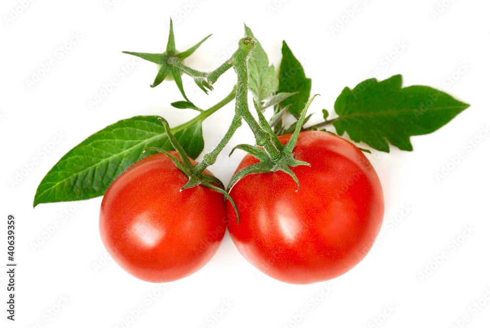 Zwei reife Tomaten mit frischen Blättern