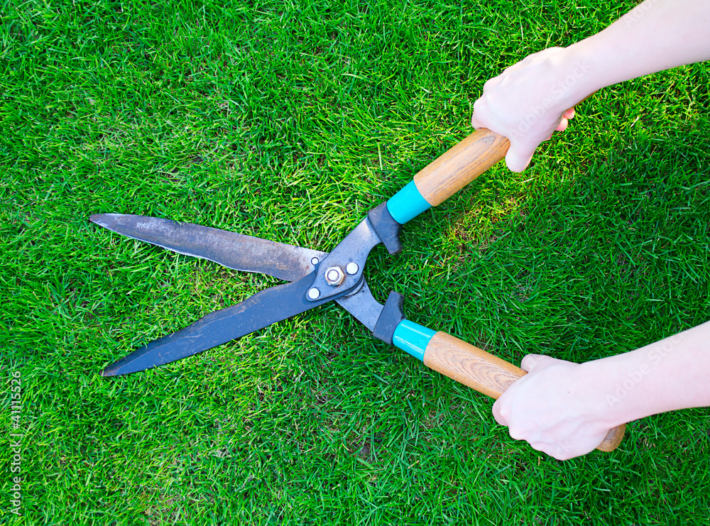 Clippers in hands on the green grass