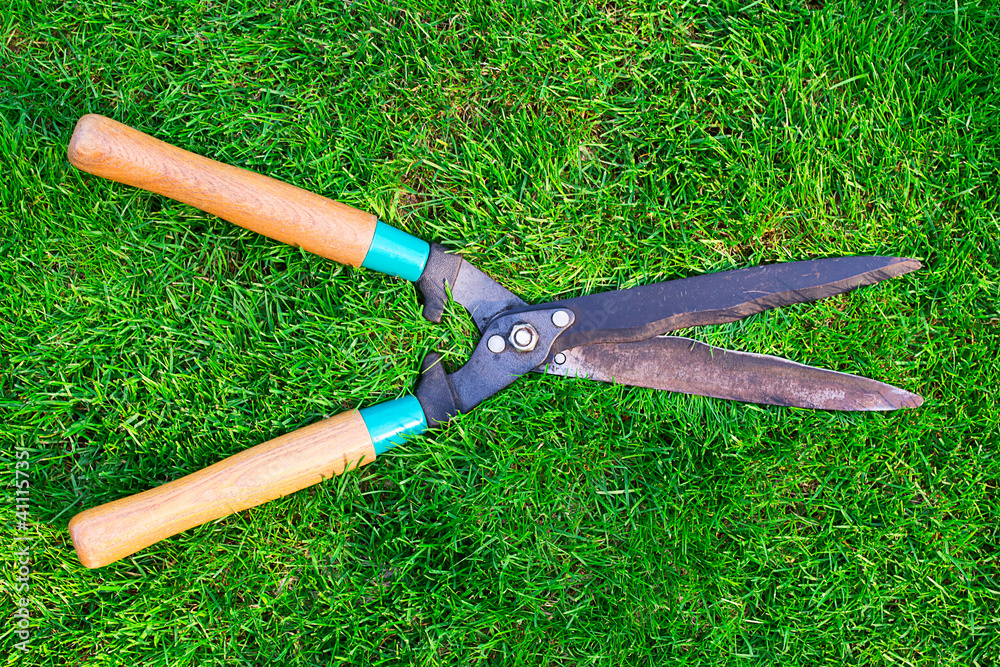 garden clippers lying on green grass