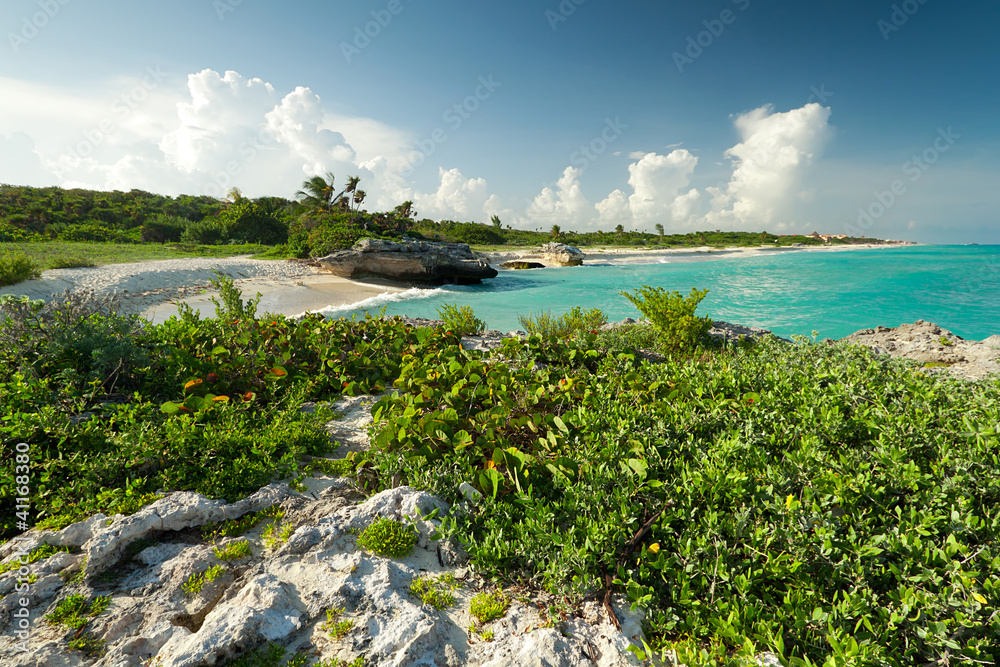 Beach of the Caribbean Sea in Mexico