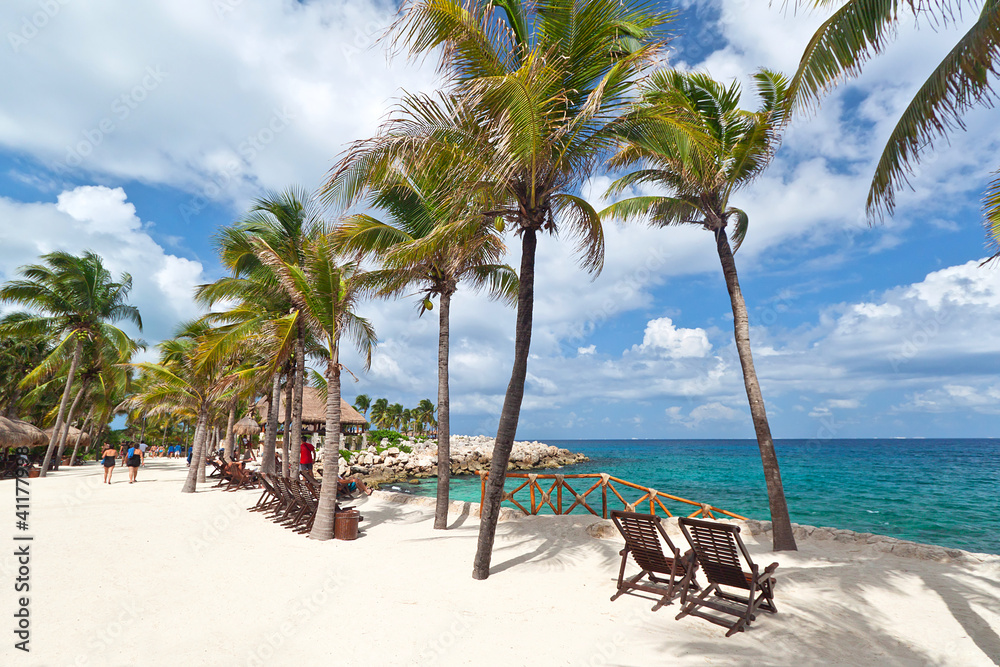 Scenery of Caribbean sea with palm trees