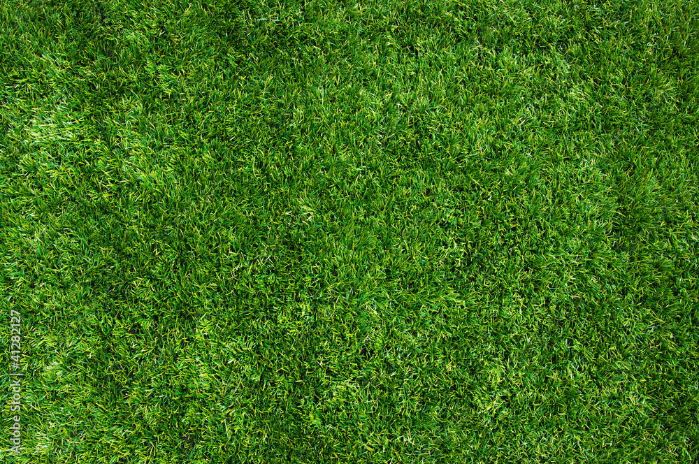 Background green grass