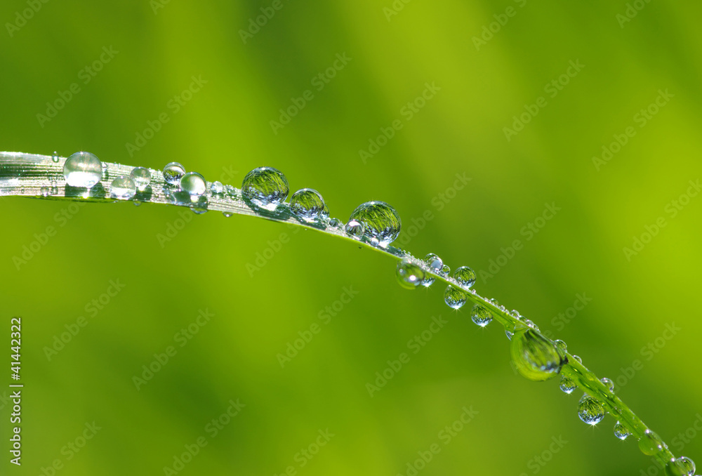 water drops