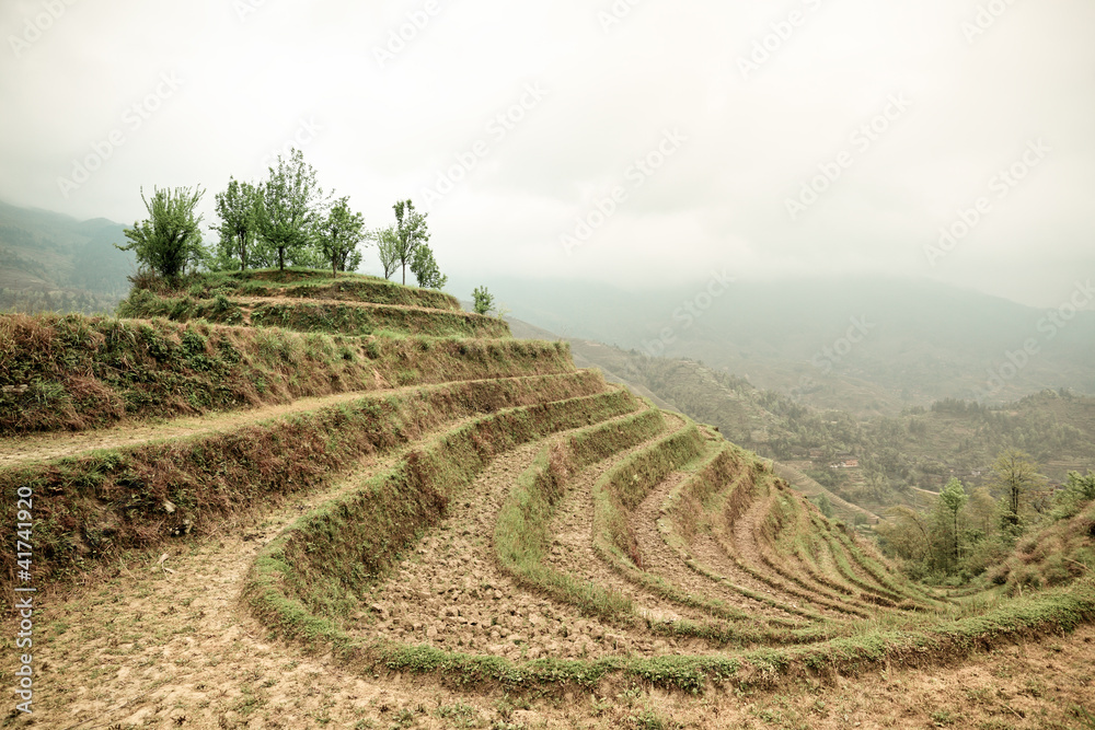 terraces with cloud and mist