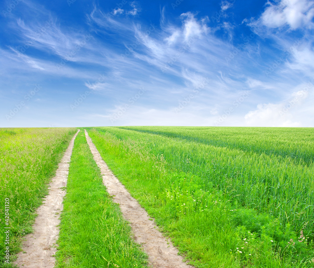 road in field