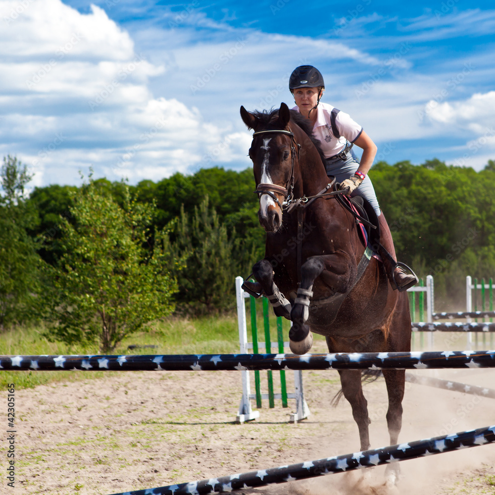 Training im Springreiten II