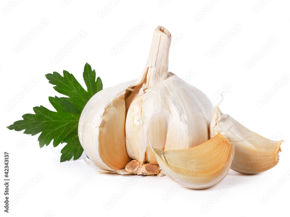 garlic isolated on white background