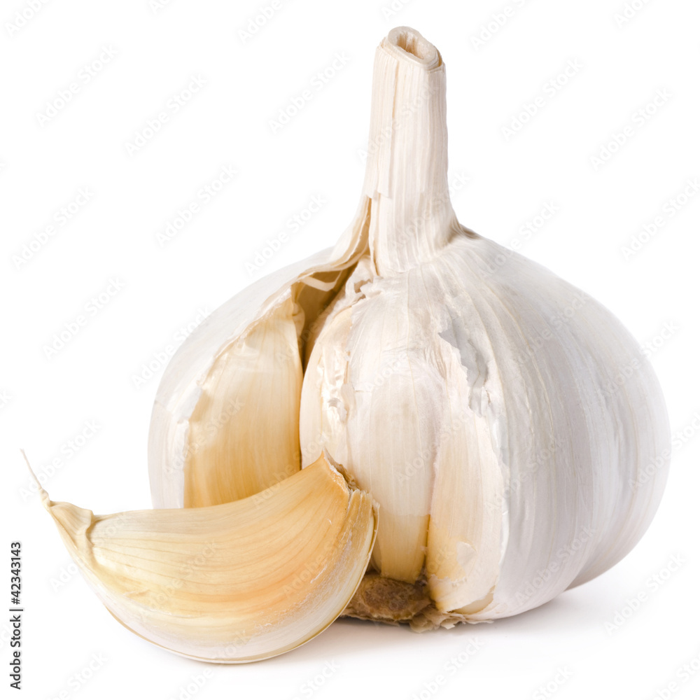 garlic isolated on white background