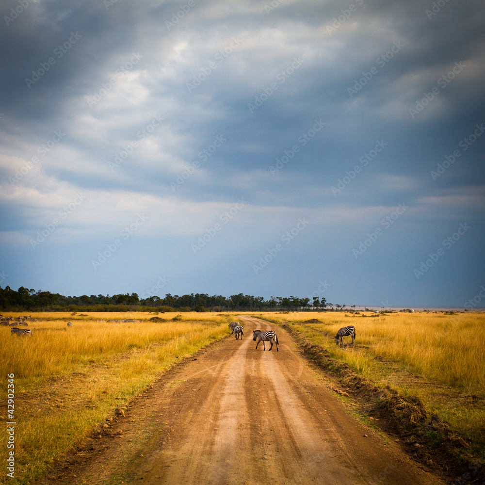 Road in field and stormy clouds