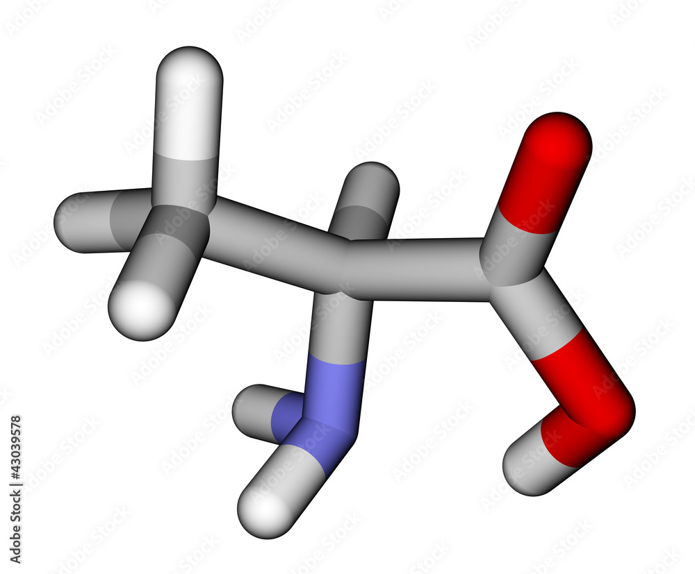 Amino acid alanine 3D molecular model