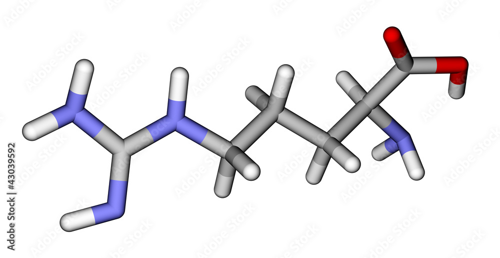 氨基酸精氨酸三维分子模型