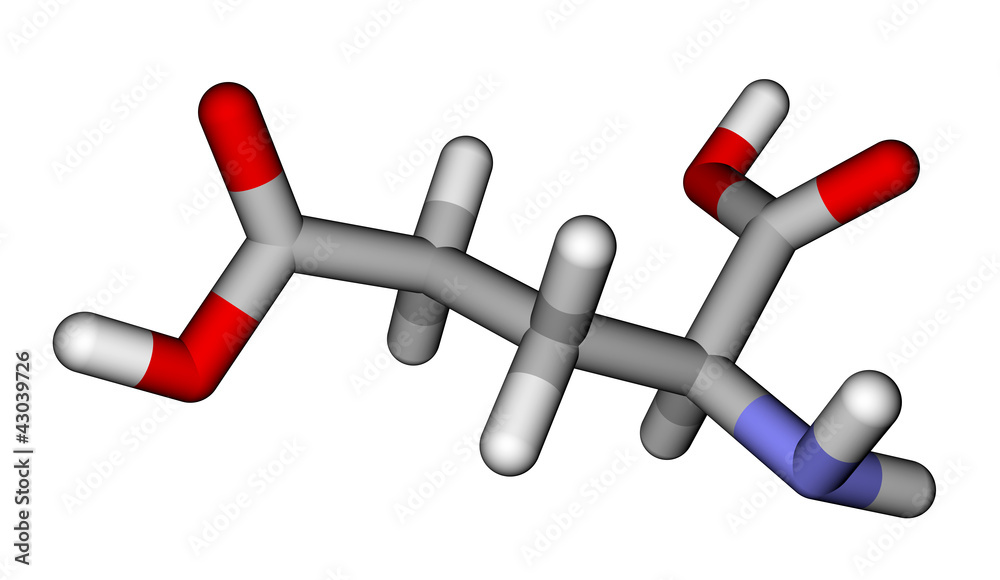 氨基酸-谷氨酸分子模型