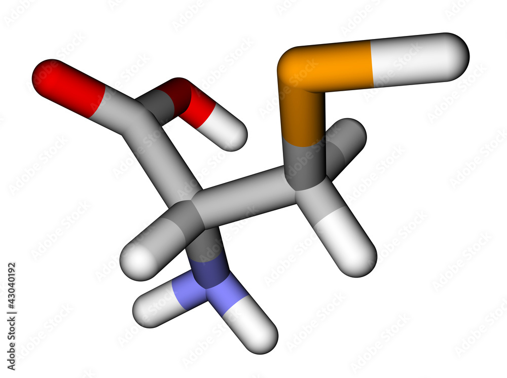 氨基酸硒代半胱氨酸棒分子模型