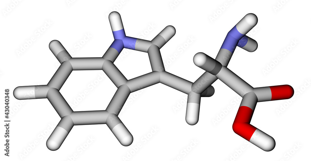 必需氨基酸色氨酸3D分子结构