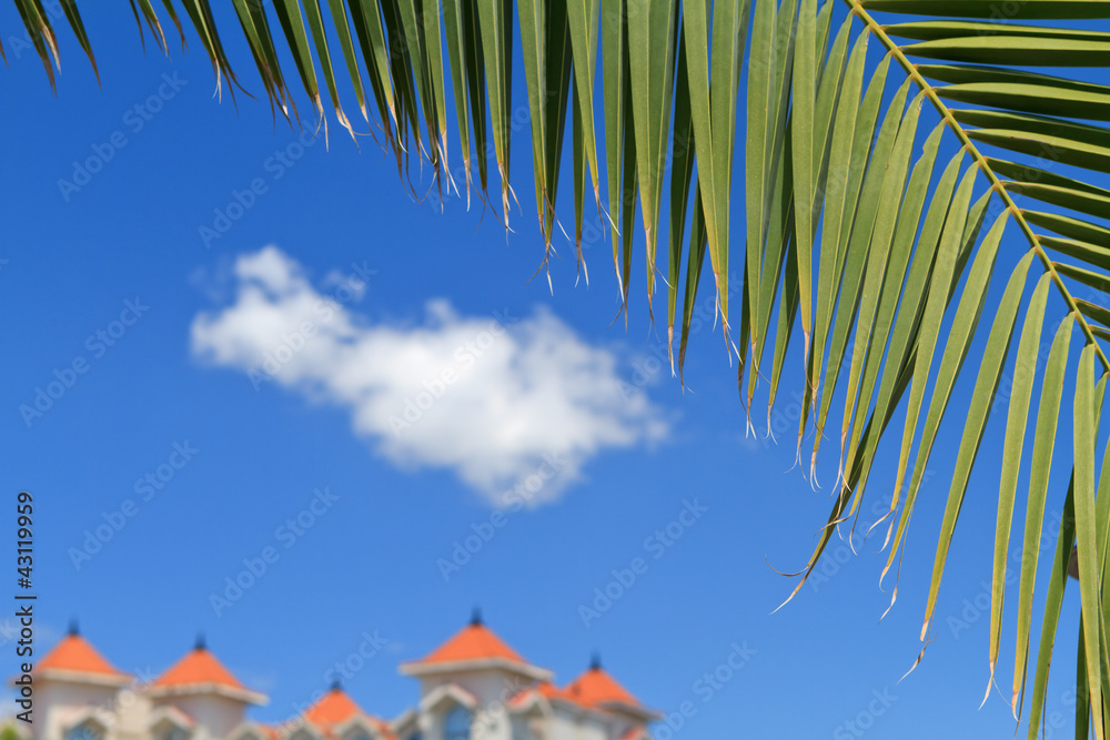 palm tree leaves with view on vacation resort