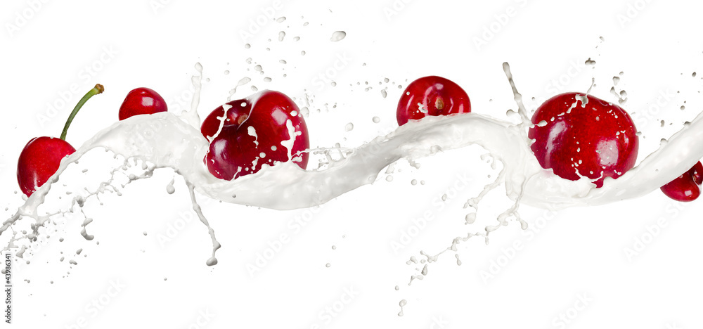 Cherries in cream splash, isolated on white background