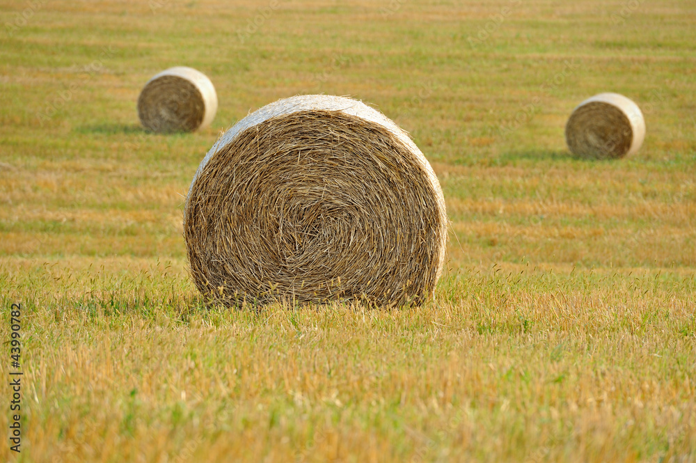 Straw bales in irish countryside