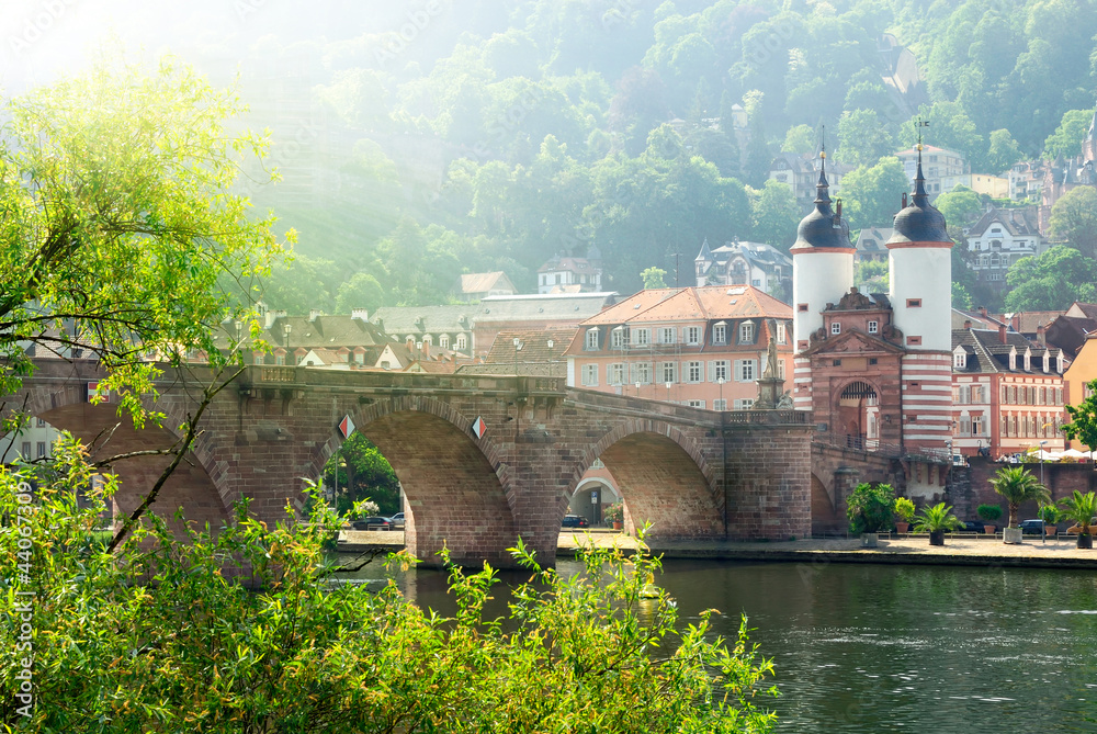 Alte Brücke in Heidelberg