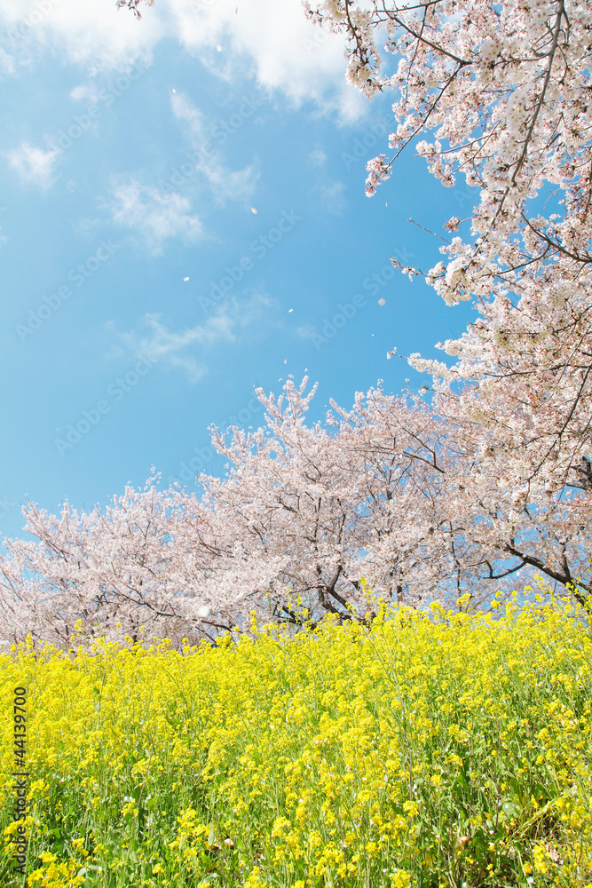 春の風景