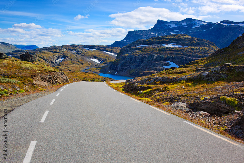 Road landscape