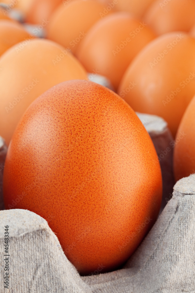 Brown egg closeup