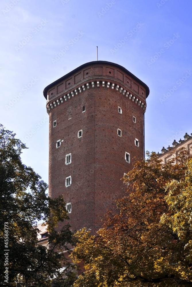 Castle tower, Wawel Cracow