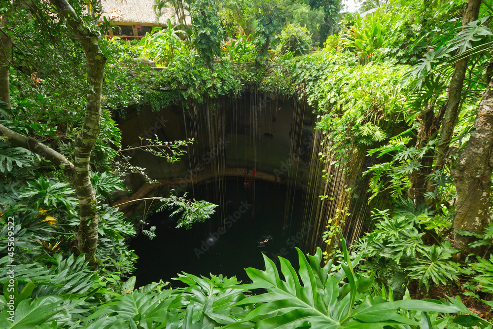 墨西哥奇琴伊察附近的Ik Kil Cenote