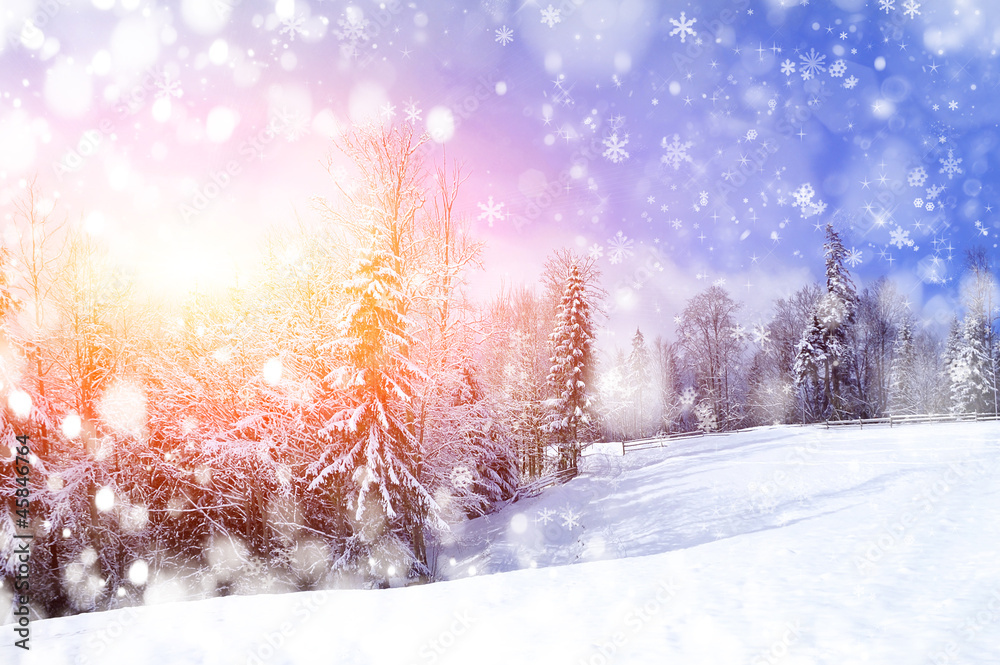 Beautiful winter landscape with snow covered trees