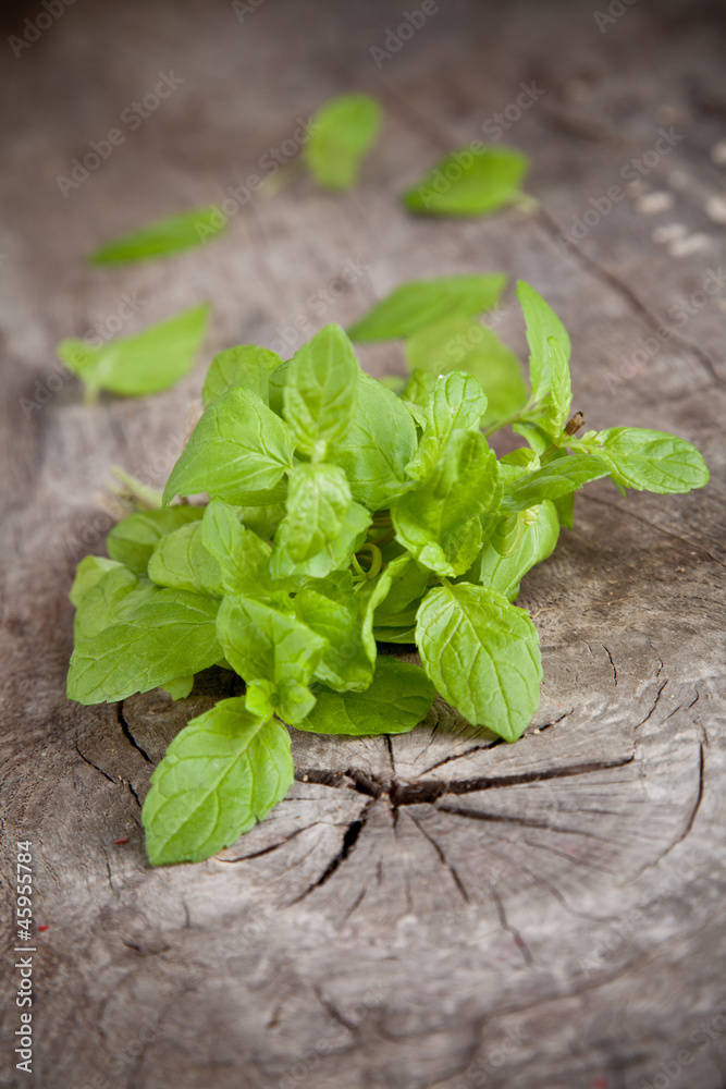 Fresh green balm on wooden table