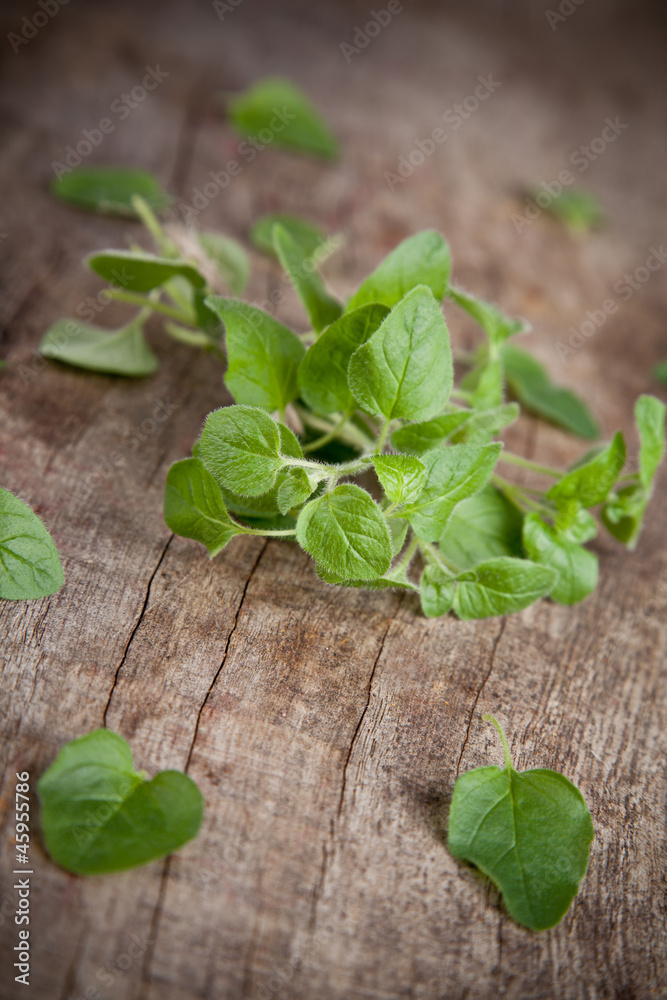 Fresh green mint on wooden table