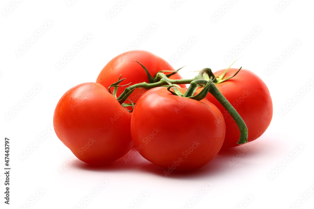 Tomatoes on the white background