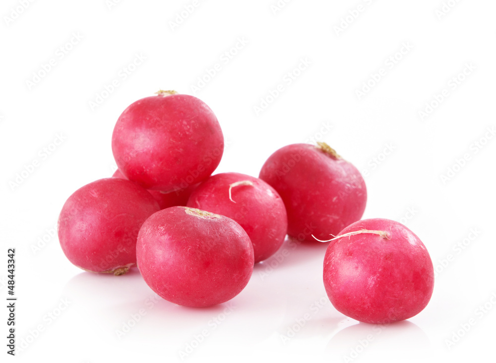 red radish