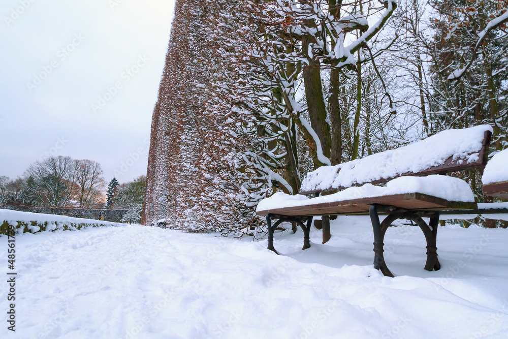 波兰Gdansk Oliwa公园的雪冬