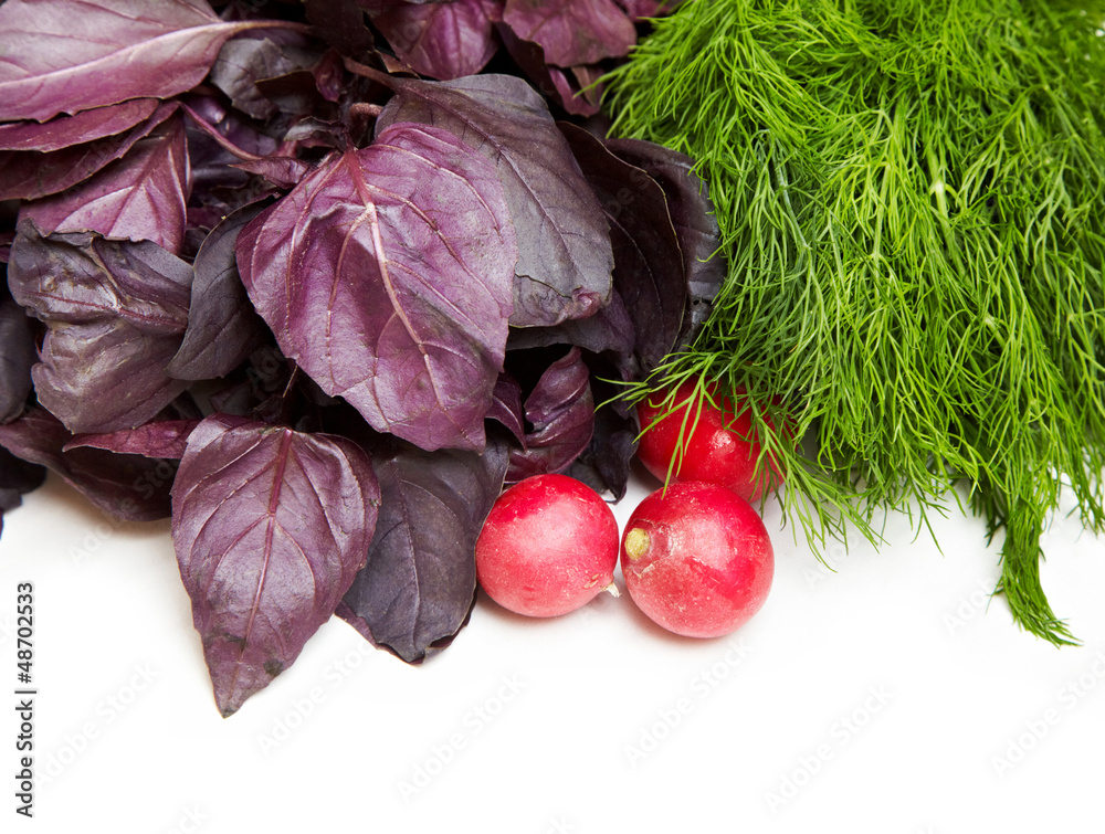 basil, dills and red radish on white background