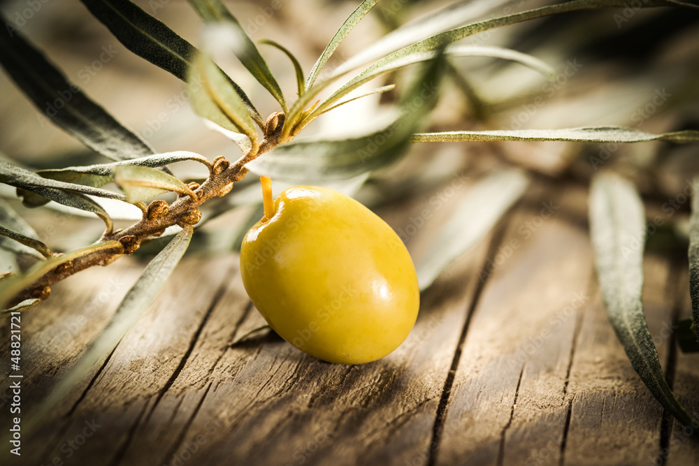 Organic olive over Wooden Background