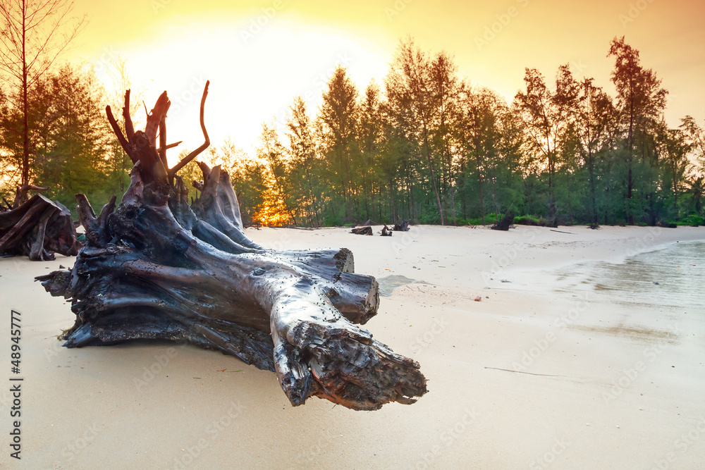 Amazing sunrise on the beach of Koh Kho Khao, Thailand